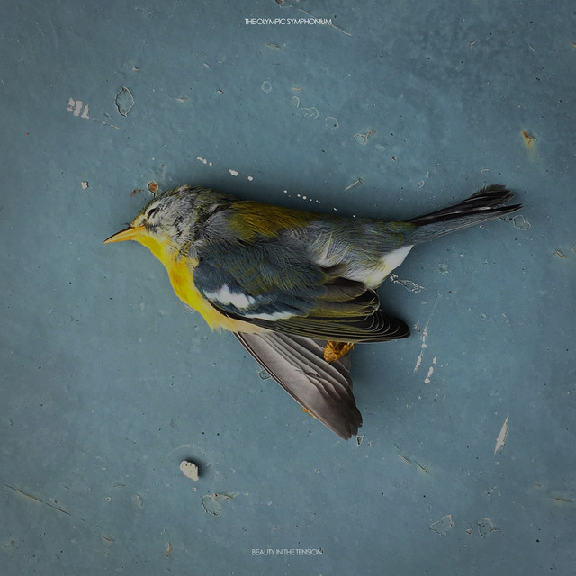 Beauty in the Tension album cover