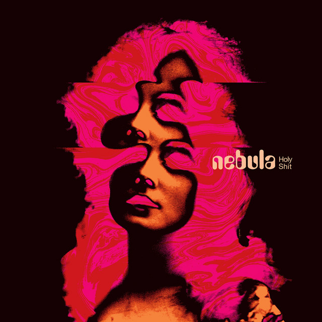 Holy Shit album cover