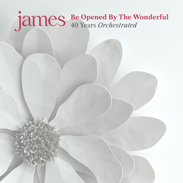 Be Opened By The Wonderful album cover