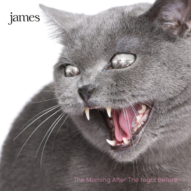 The Morning After The Night Before (US version) album cover