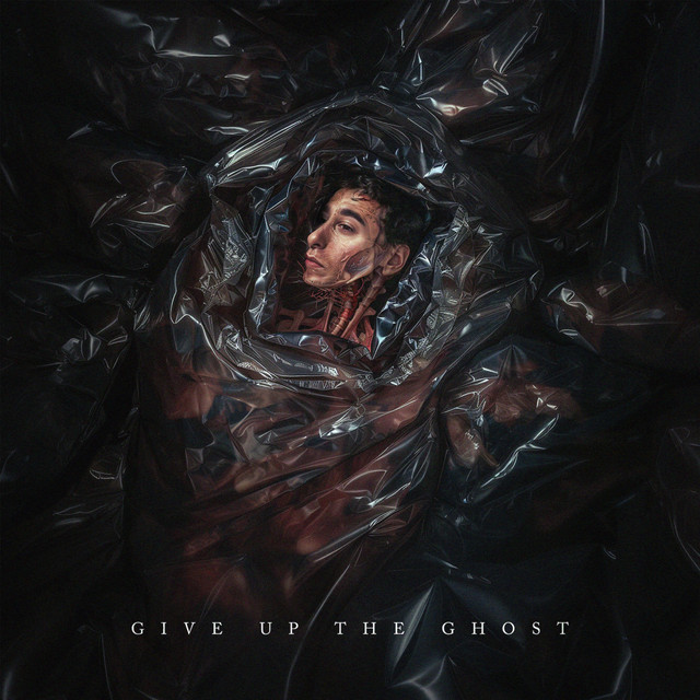 Give Up The Ghost album cover