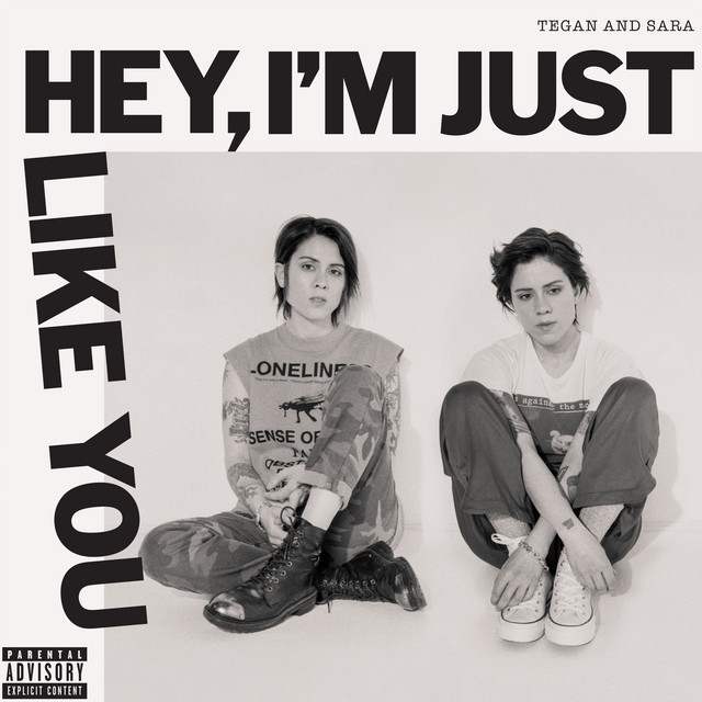 Hey, I'm Just like You album cover