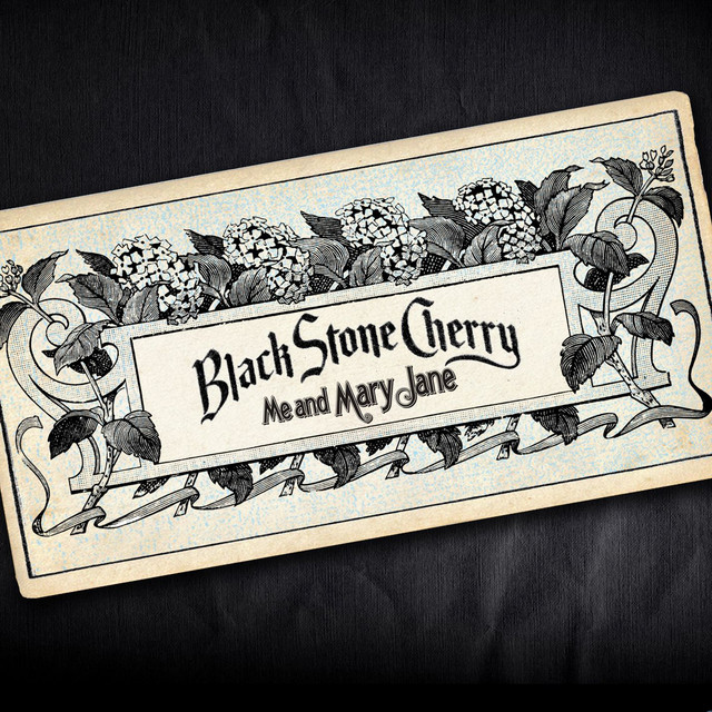 Rocktron Banshee 2 Talk Box as heard on Me and Mary Jane by Black Stone Cherry (2014)