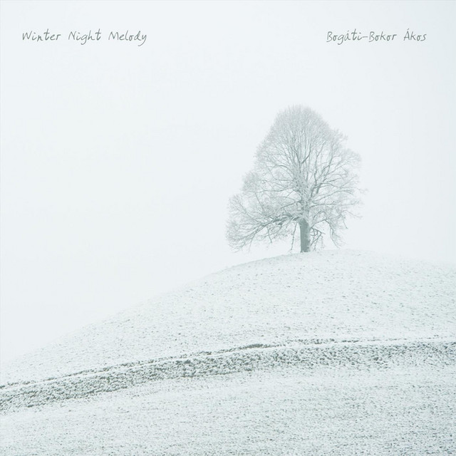 Winter Night Melody album cover