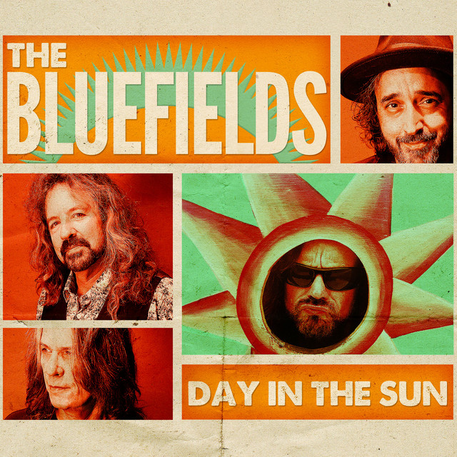Day in the Sun album cover