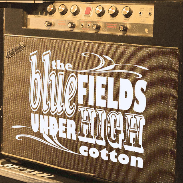 Under High Cotton album cover