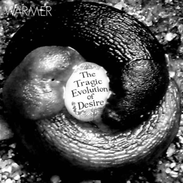 MXL 992 Condenser Microphone as heard on The Tragic Evolution of Desire by Warmer (2011)
