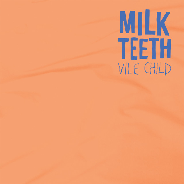 Vile Child album cover