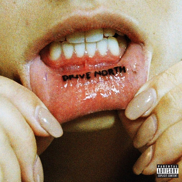 Hartman Electronics SFZ as heard on Drive North by SWMRS (2016)