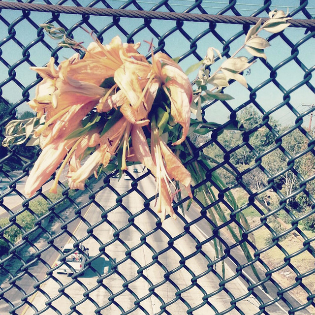 Spirit Club album cover