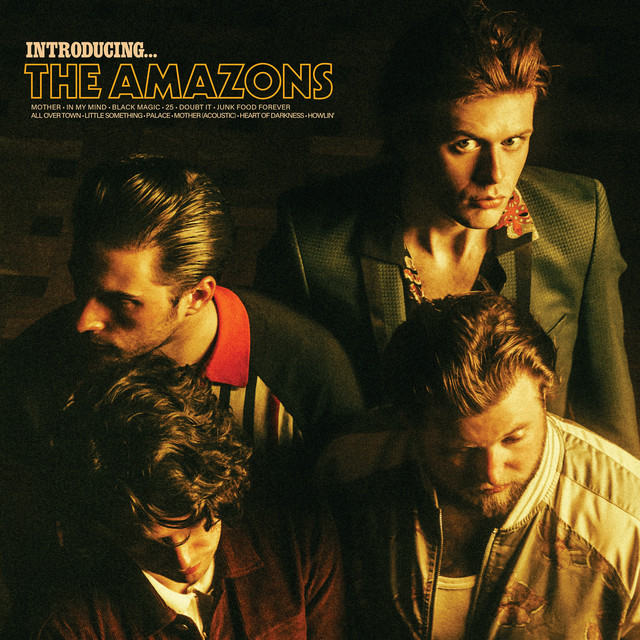 Introducing… The Amazons album cover