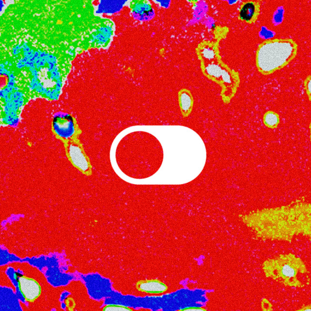 Netzwerk album cover