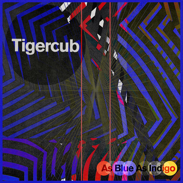 Chapman ML3 Pro Traditional as heard on As Blue as Indigo by Tigercub (2021)