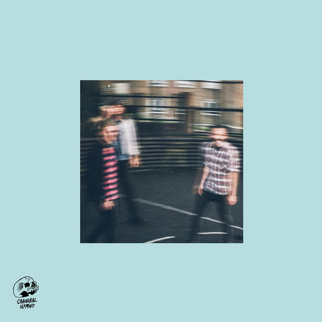 Tigercub – Destroy / You album cover
