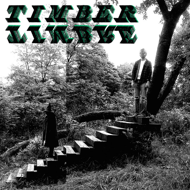 Timber Timbre album cover
