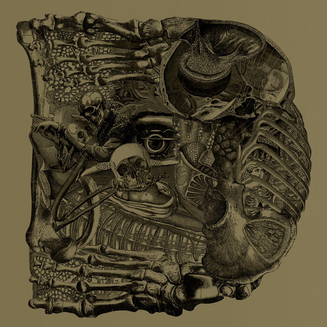 Dear album cover