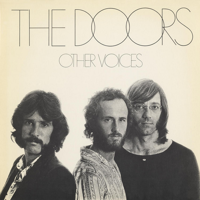 Other Voices album cover