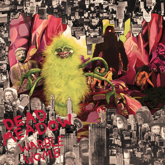 Fender Telecaster Plus as heard on Warble Womb by Dead Meadow (2013)