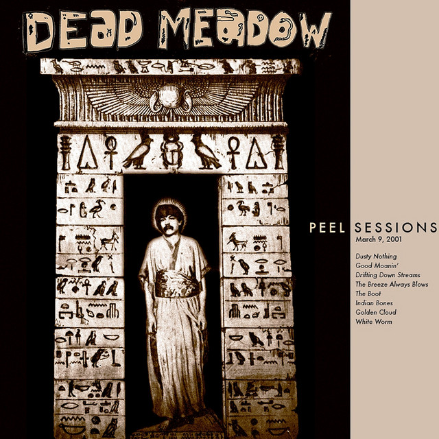 Fender Telecaster Plus as heard on Peel Sessions by Dead Meadow (2011)