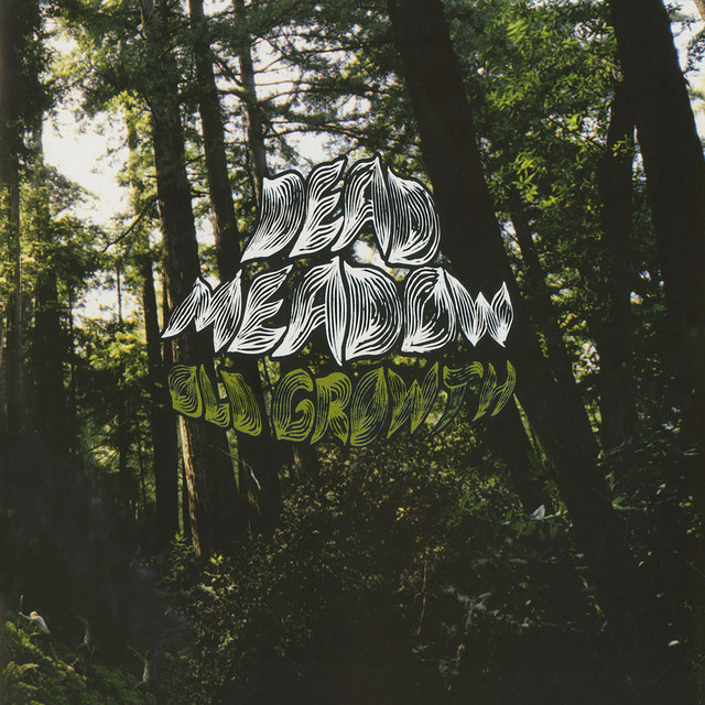 Fender Telecaster Plus as heard on Old Growth by Dead Meadow (2008)