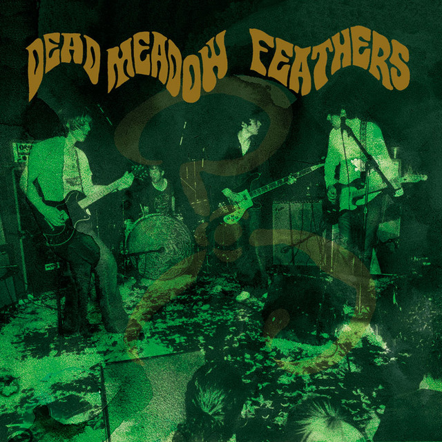 Fender Telecaster Plus as heard on Feathers by Dead Meadow (2005)