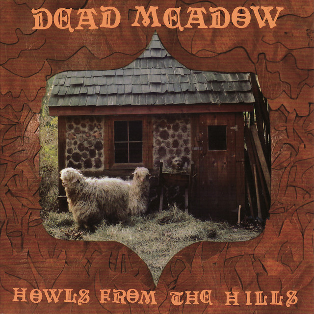 Fender Telecaster Plus as heard on Howls From the Hills by Dead Meadow (2001)