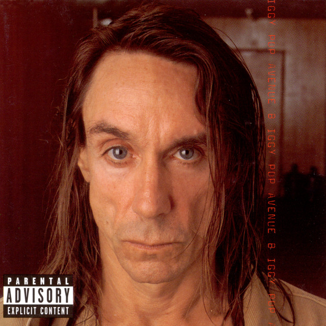 Avenue B album cover