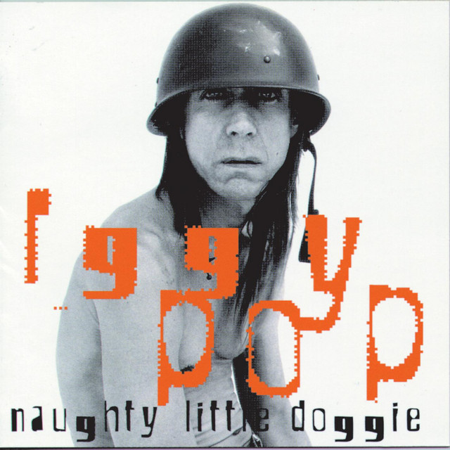 Naughty Little Doggie album cover