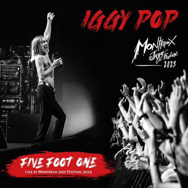 Ernie Ball Music Man Armada as heard on Five Foot One (Live At Montreux Jazz Festival 2023) by Iggy Pop & Iggy Pop (2024)