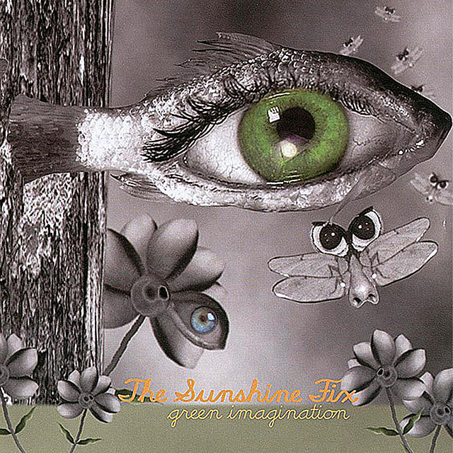 Green Imagination album cover