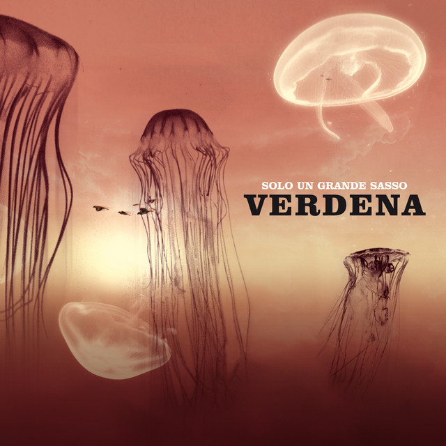 Solo un grande sasso album cover