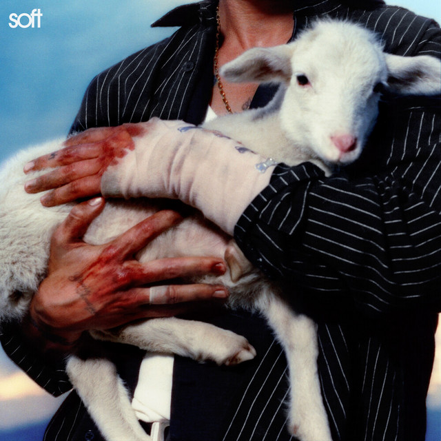 Soft album cover