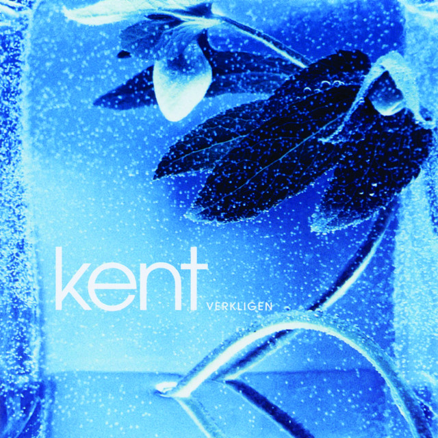 Verkligen album cover
