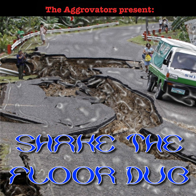 The Aggrovators Present: Shake the Floor Dub album cover
