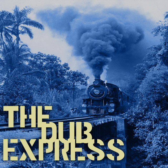 The Dub Express Vol 10 Platinum Edition album cover