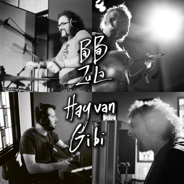 Hayvan Gibi album cover