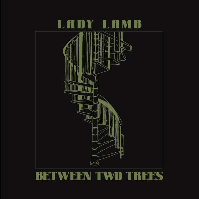Framus 6-String Banjo as heard on Between Two Trees by Lady Lamb & Lady Lamb (2023)