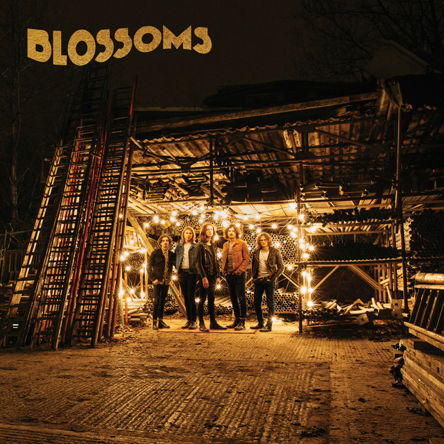Blossoms album cover
