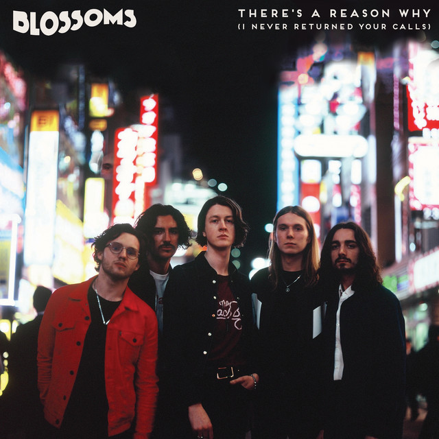 Danelectro 67 Heaven Hawk Guitar as heard on There's A Reason Why (I Never Returned Your Calls) by Blossoms (2018)