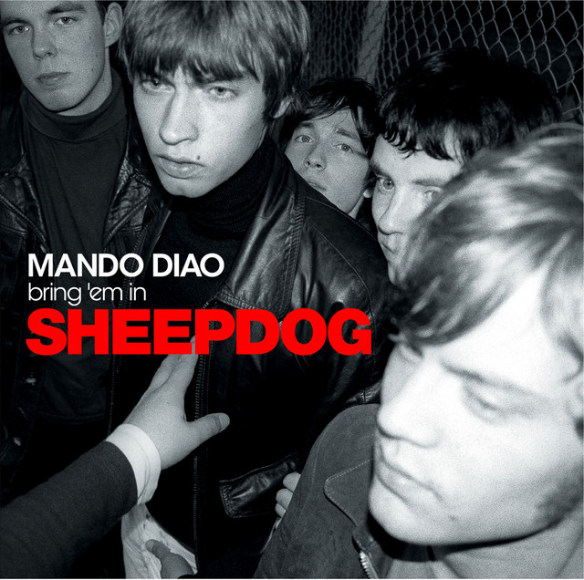 Epiphone Dot as heard on Sheepdog by Mando Diao (2002)