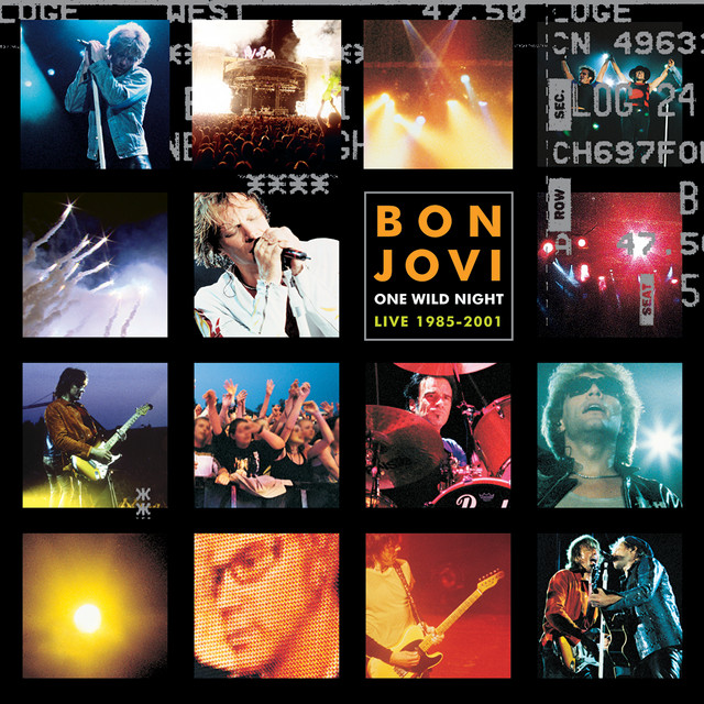 One Wild Night Live 1985-2001 album cover