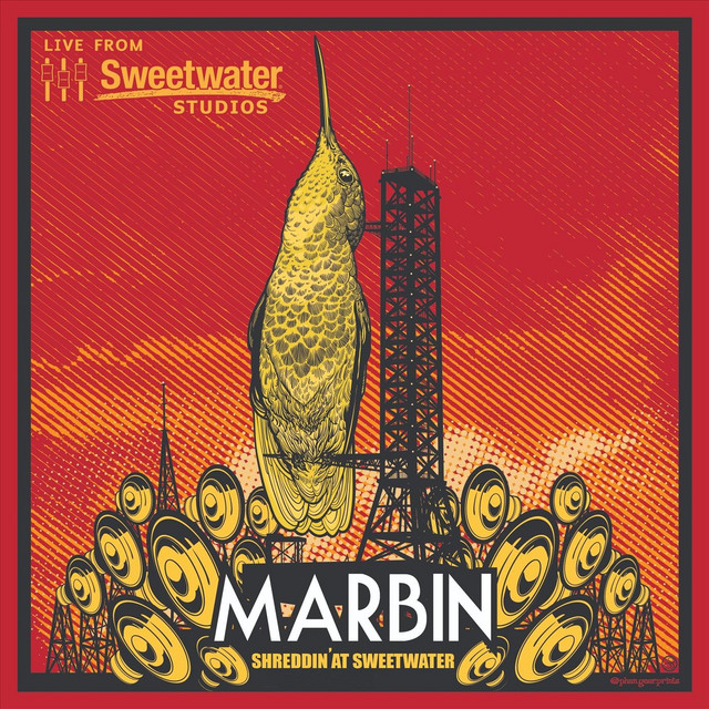Shreddin' at Sweetwater (Live) album cover