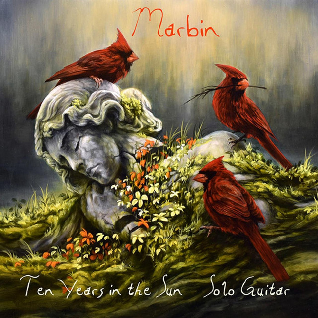 Ten Years in the Sun (Solo Guitar) album cover