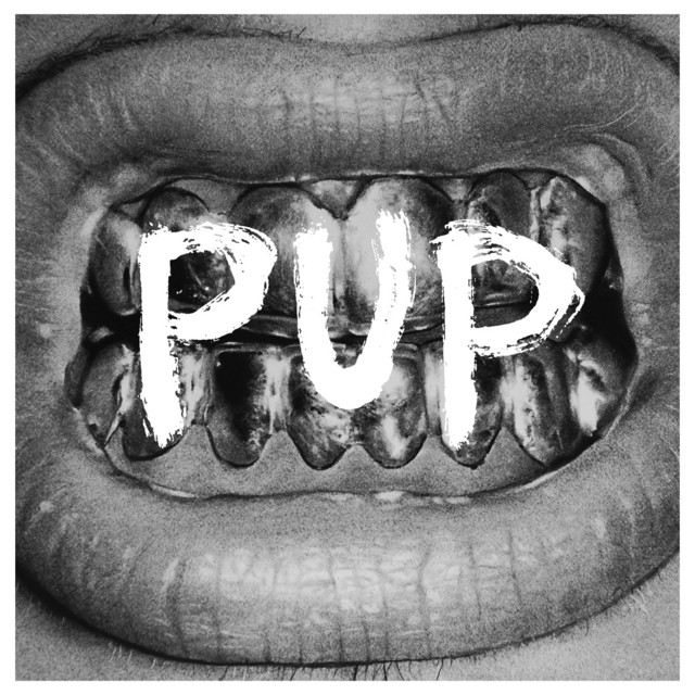 PUP album cover