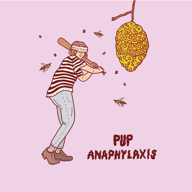 Pup – Anaphylaxis album cover