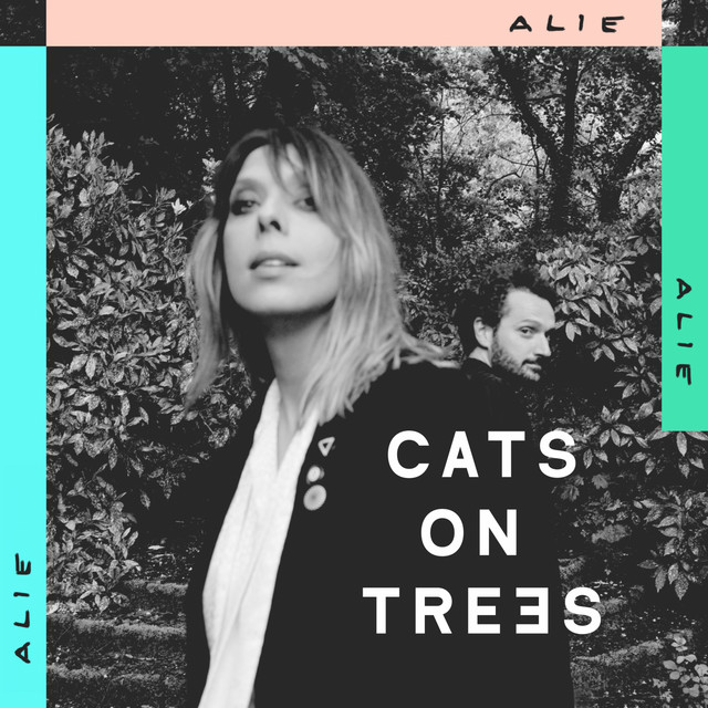 Alie album cover