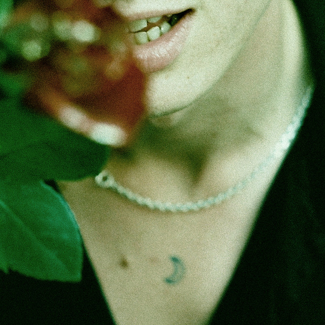 Apple GarageBand as heard on Don't Delete The Kisses by Wolf Alice & Wolf Alice (2017)