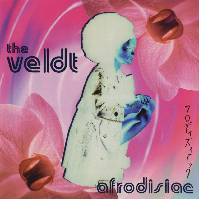 Afrodisiac album cover