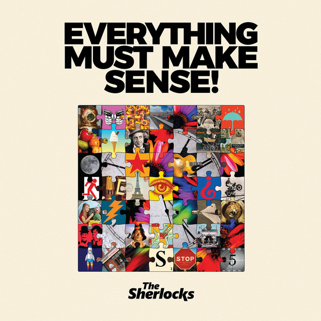 Everything Must Make Sense! album cover