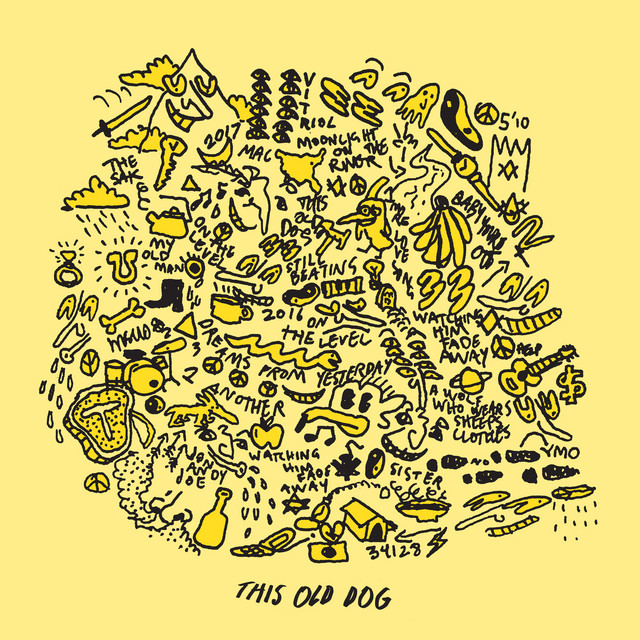 Coles Electroacoustics 4038 as heard on This Old Dog by Mac DeMarco & Mac DeMarco (2017)
